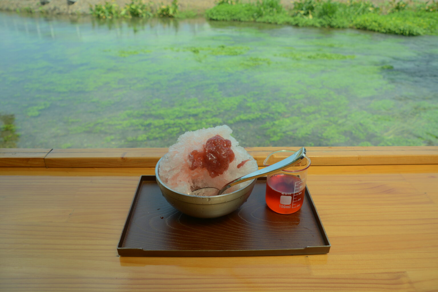 菊水苑のかき氷と清流