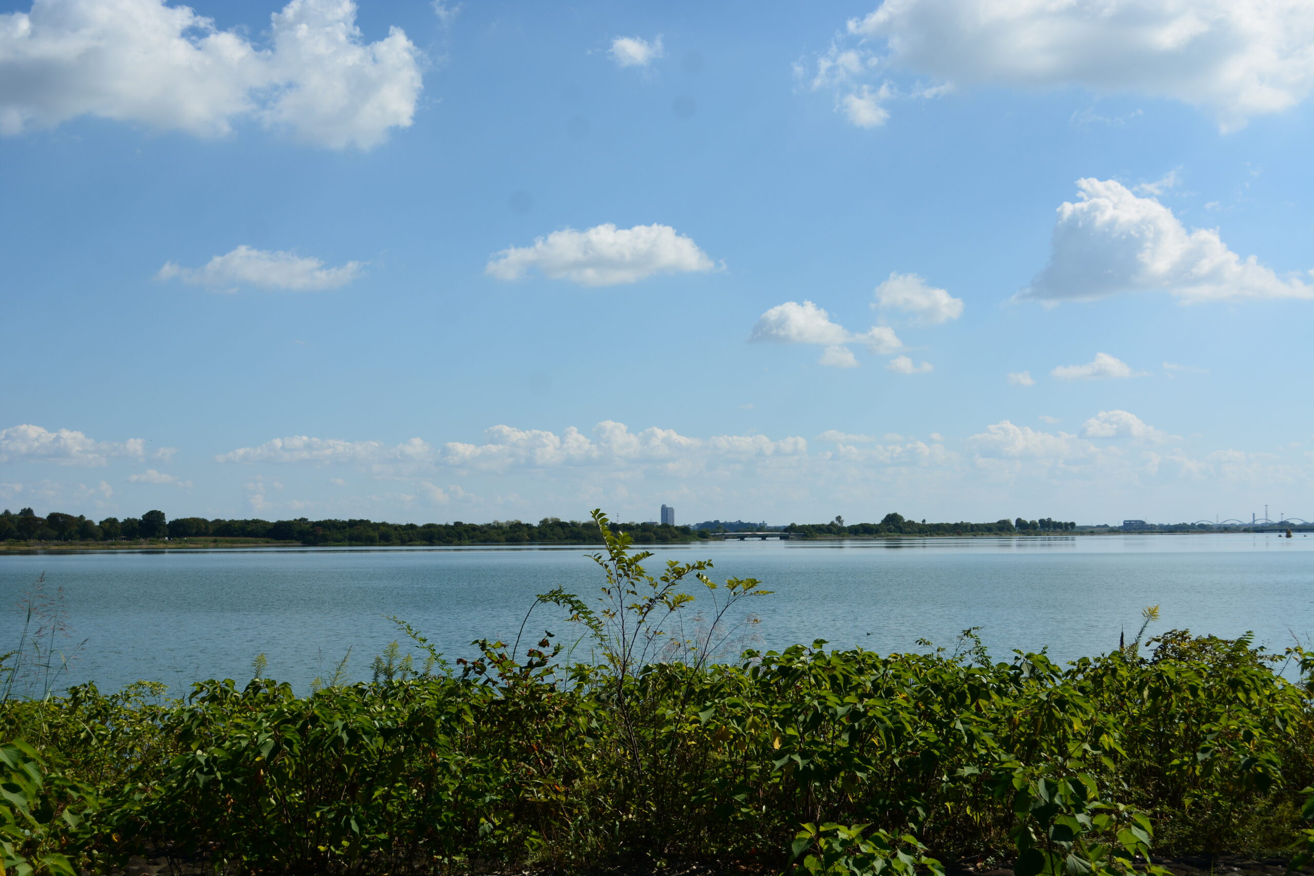 渡良瀬遊水地の谷中湖の風景