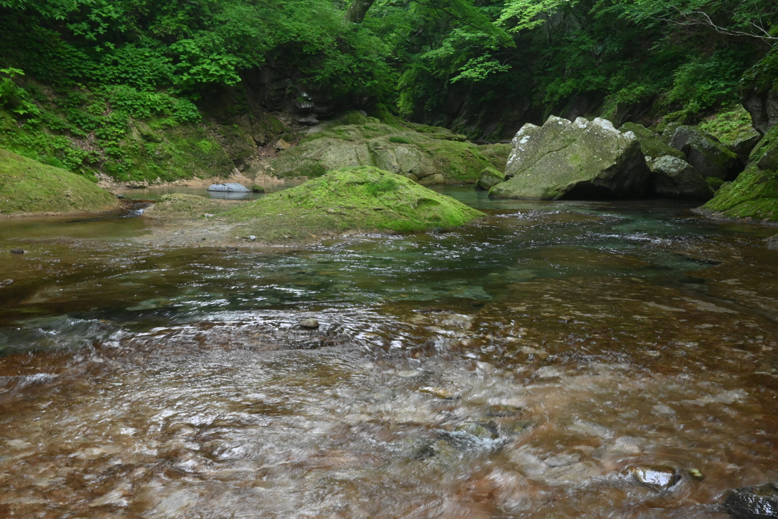 木の俣渓谷の清流と苔むした岩