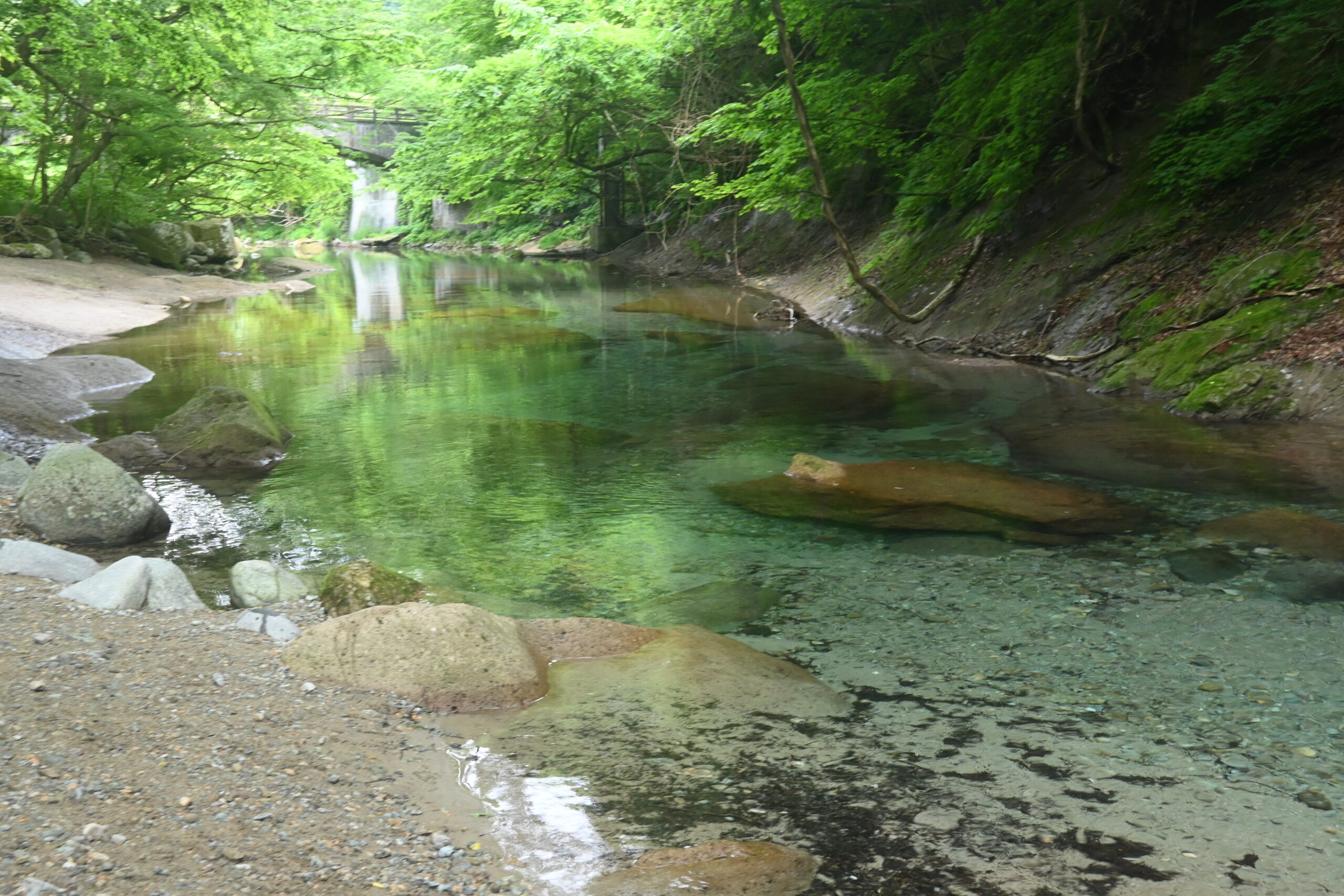 木の俣渓谷の木の俣ブルーと新緑の水鏡