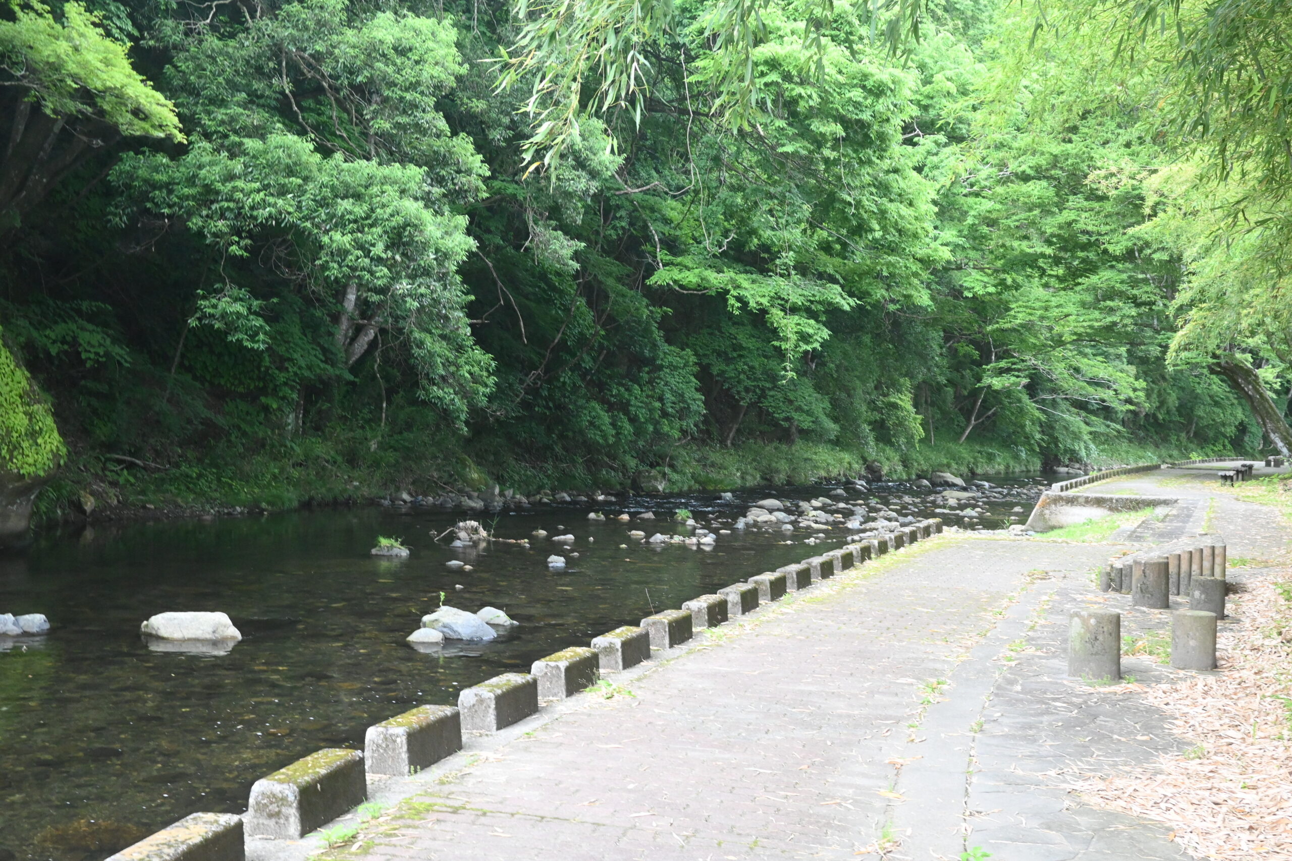 御前岩の遊歩道と武茂川