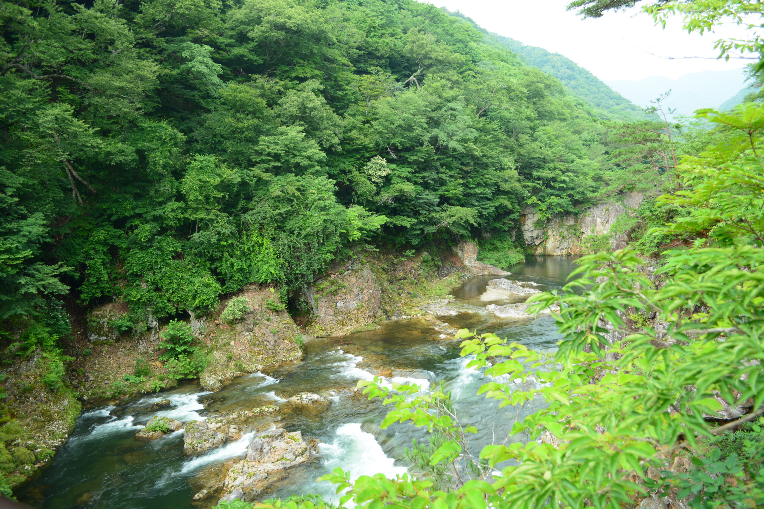 龍王峡の渓谷と鬼怒川の流れ（別角度）