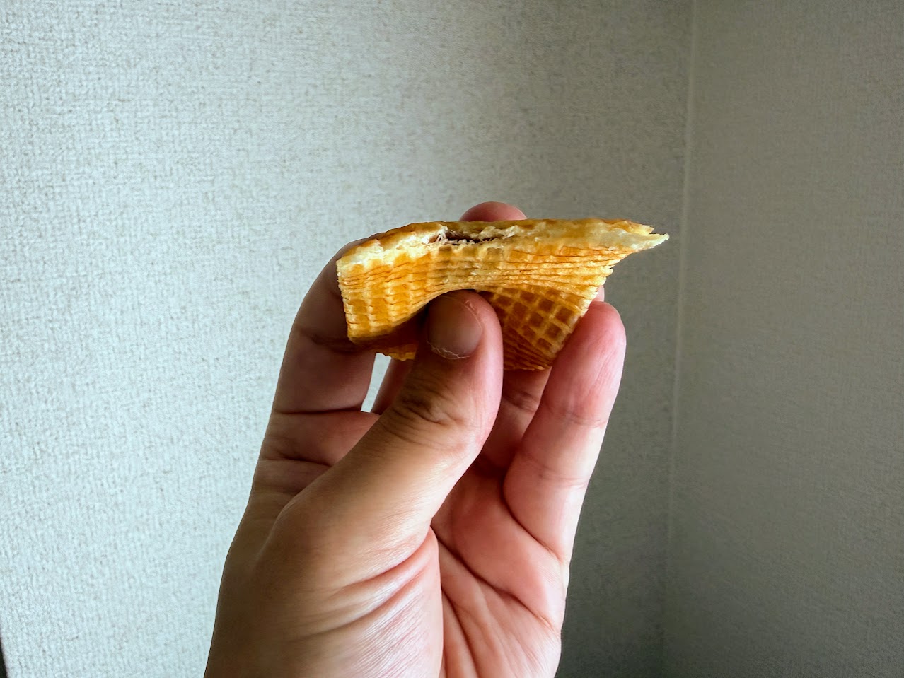 一口かじったバターのいとこ ブルーベリーの断面