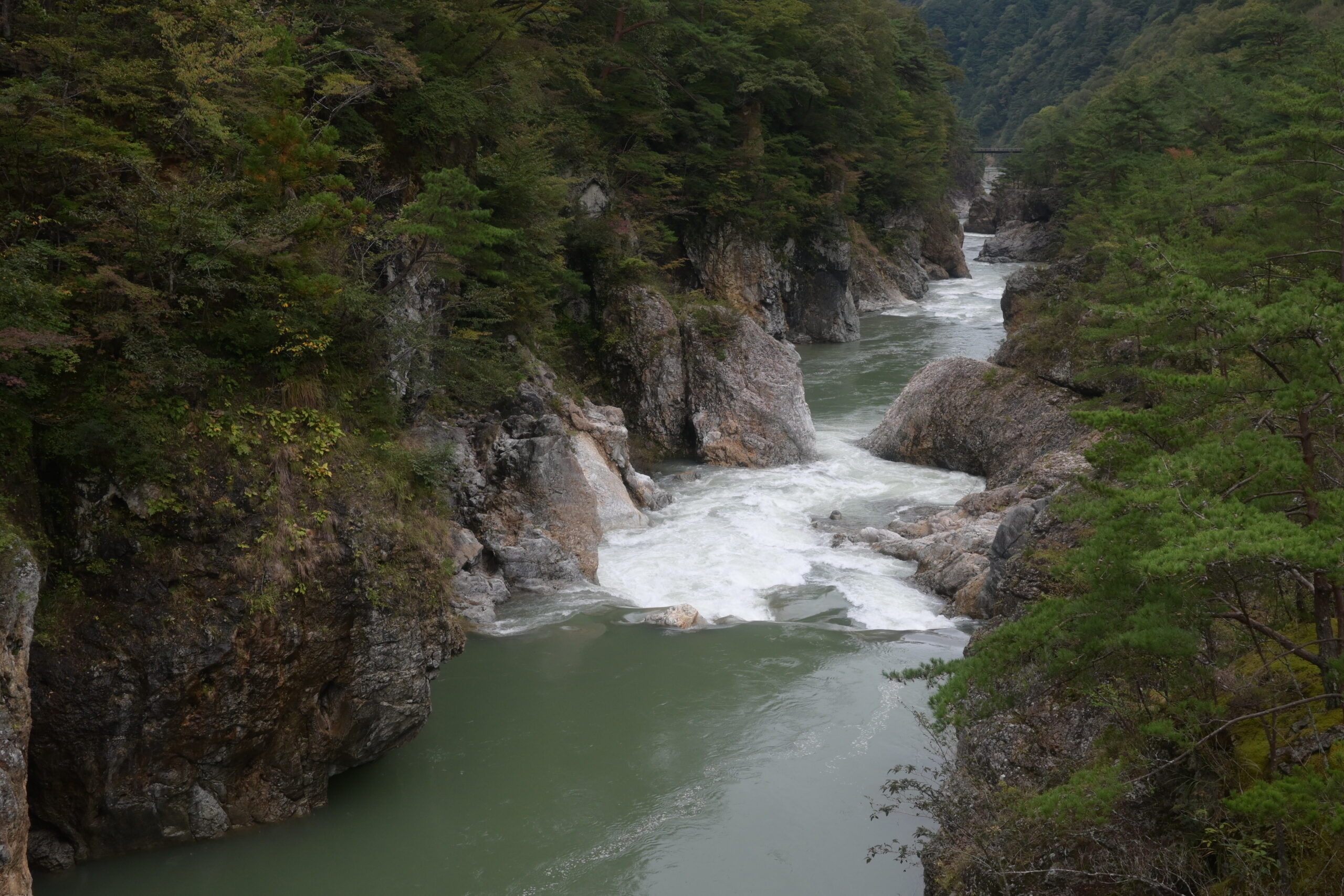 むささび橋から見た龍王峡の下流側の渓谷