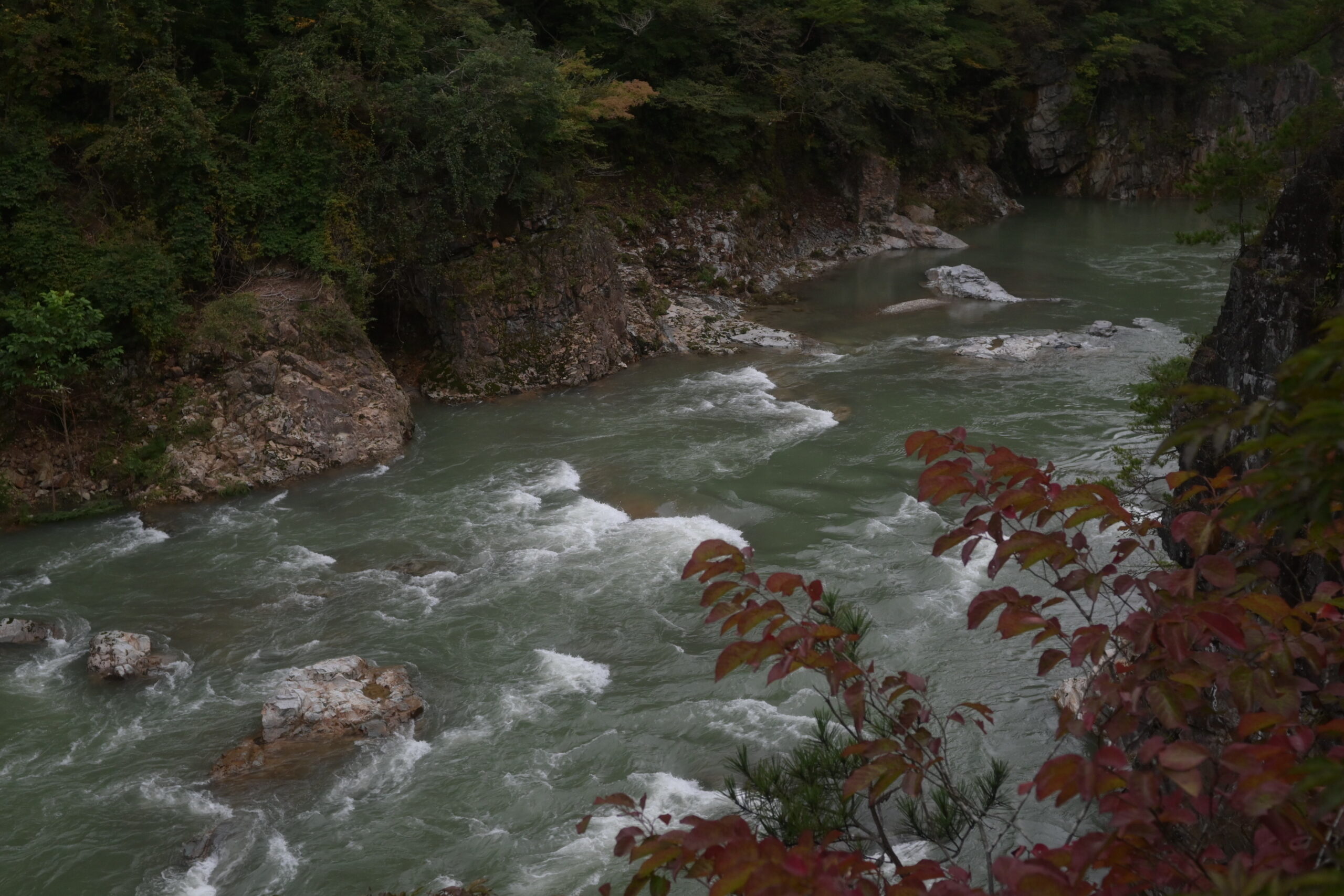 虹見橋から見下ろした鬼怒川と、手前で赤く色づき始めた葉