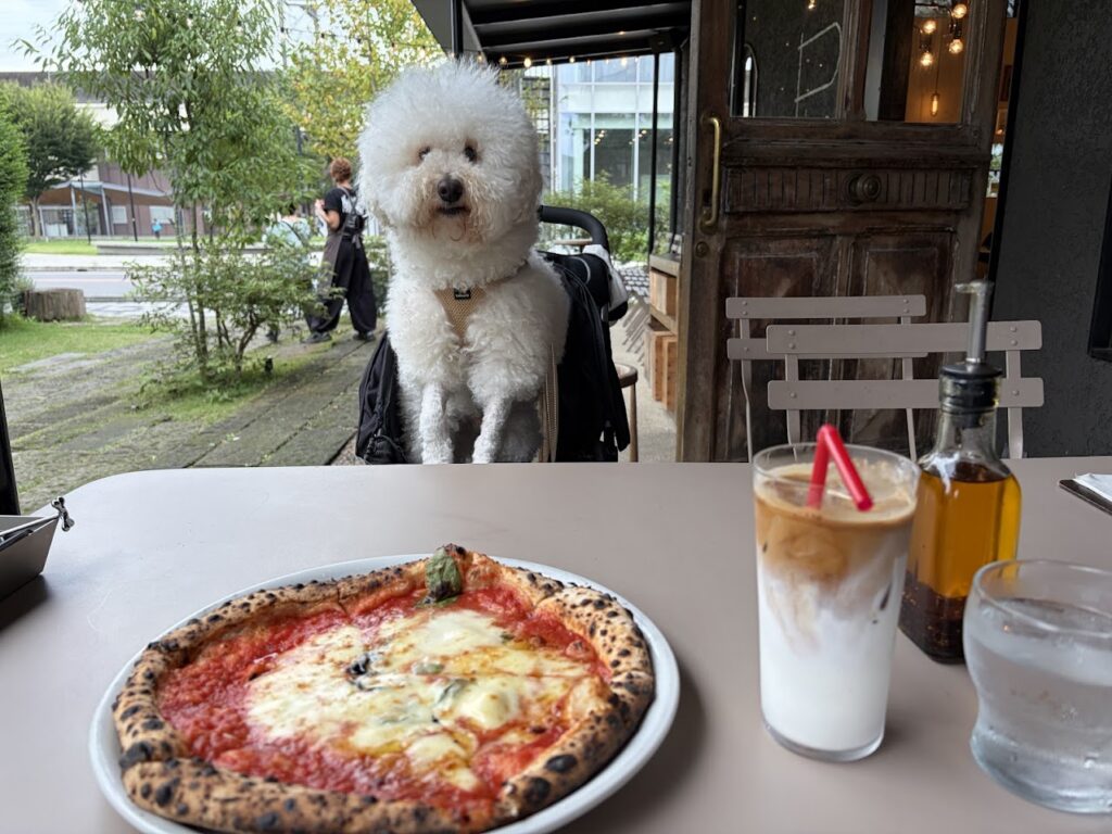 黒磯のPizzeria Picoで食べた「森のマルゲリータ」と愛犬