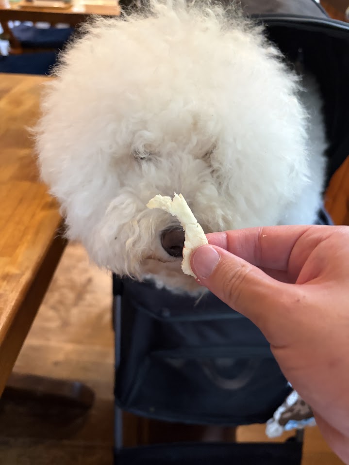 ピザの耳を食べる小夏