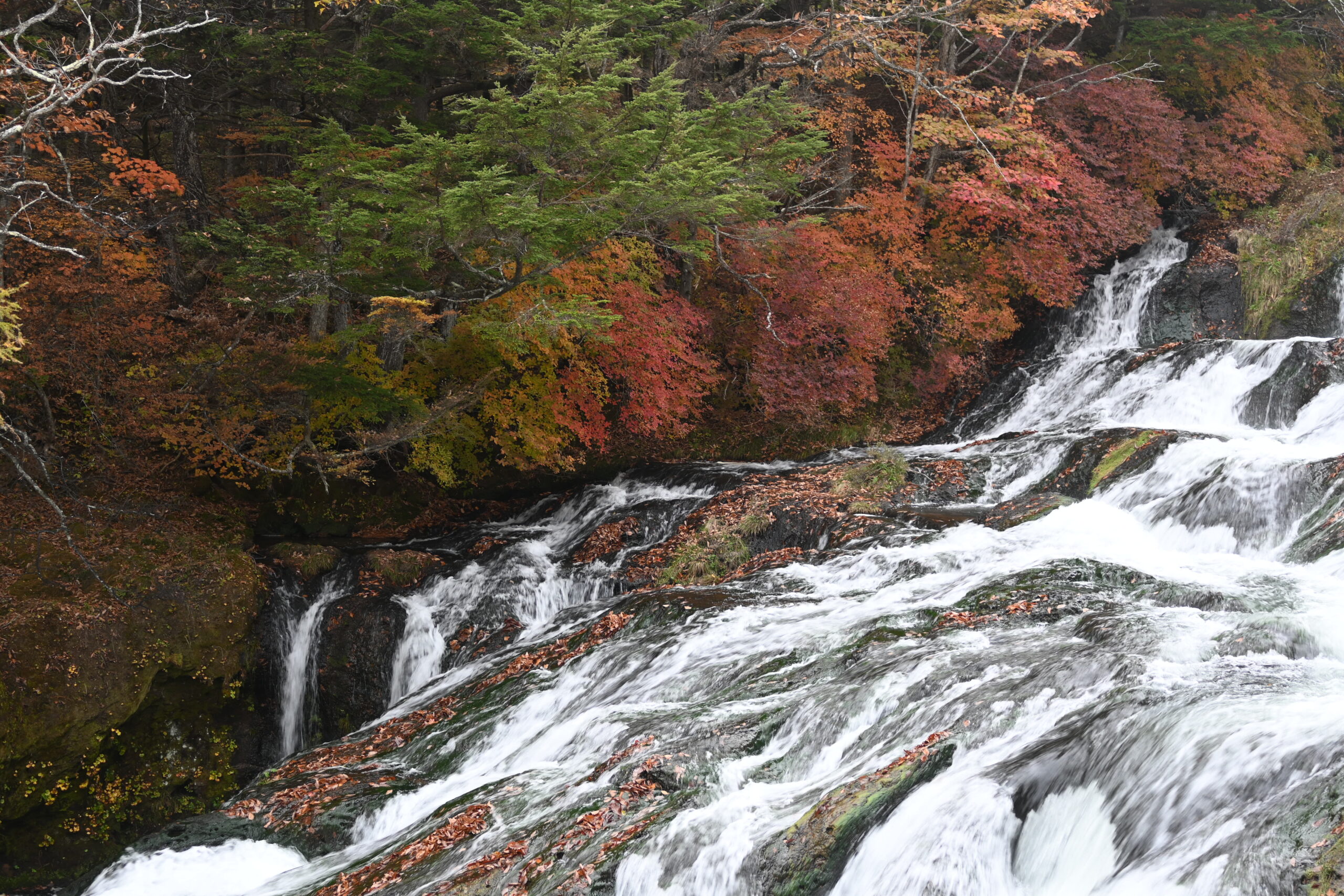 赤やオレンジの紅葉に囲まれ、岩の上を何段にも分かれて流れる竜頭ノ滝