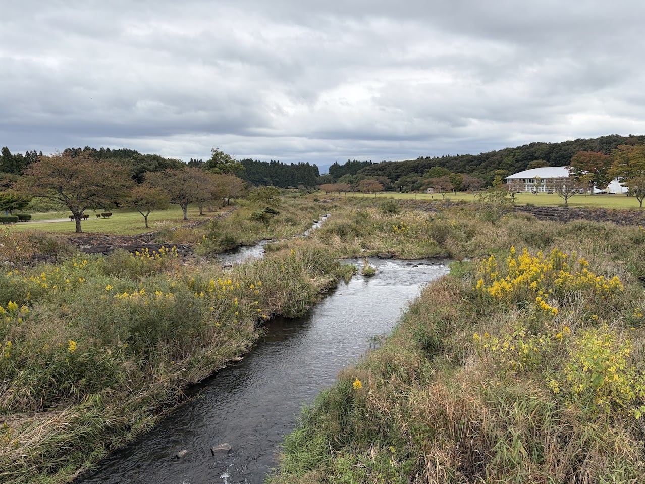 公園の奥へと続く余笹川と、色づき始めた木々や森