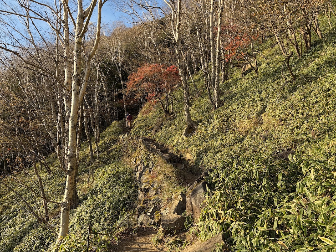 岩や木の根が露出した、半月山展望台へ向かう山道